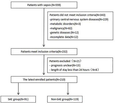 Clinical Features and Factors Associated With Sepsis-Associated Encephalopathy in Children: Retrospective Single-Center Clinical Study